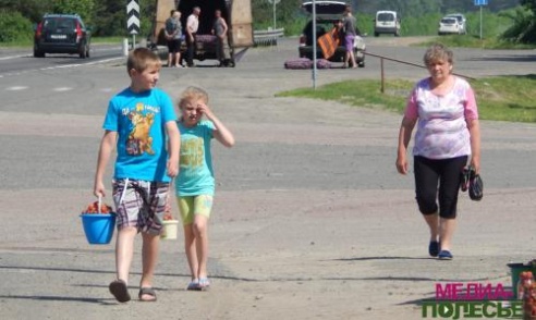 Клубничная комаровка в Лунинецком районе оживает