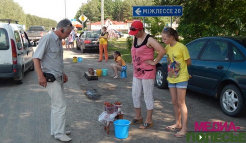 Клубничная комаровка в Лунинецком районе оживает