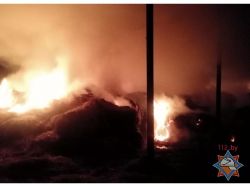 Под Рогачевом в воскресенье загорелся склад сухого сена (фото)