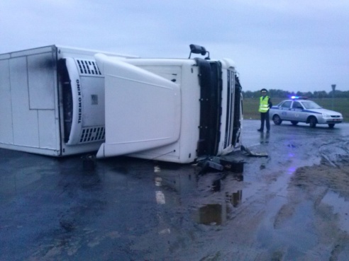В Светлогорском районе перевернулась фура с мясом (обновлено, добавлено фото)