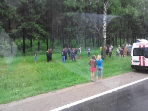 Чудовищное ДТП возле д. Мясота