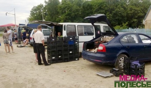 Дворецкая «комаровка» переезжает на новое место и становится платной для скупщиков