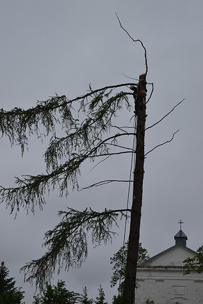 Вакол скульптуры Мюнхаўзена спілавалі дрэвы