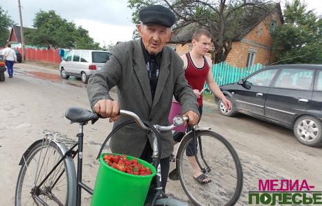 Клубника: спад в цене и предложении