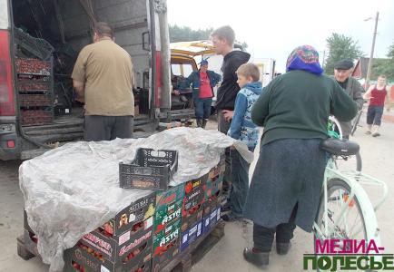 Клубника: спад в цене и предложении