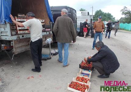Клубника: спад в цене и предложении