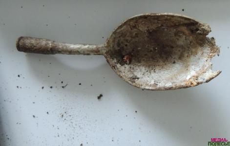 В Столинском районе работал поисковый батальон