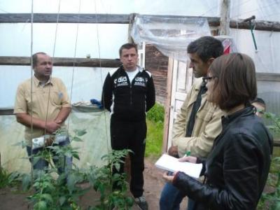 Французы знакомились с опытом овощеводства на Столинщине