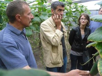 Французы знакомились с опытом овощеводства на Столинщине
