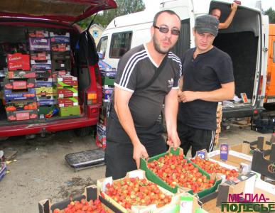 Жители Дворца: «Клубники хватит ещё на неделю»