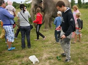 Слон чуть не съел зачётку могилёвского студента