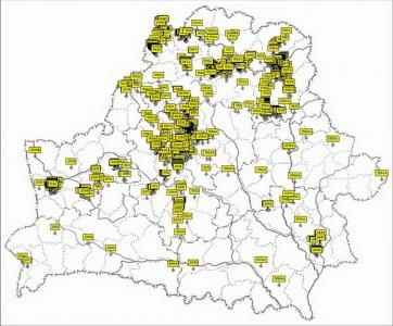 Борщевик вторгается на Столинщину