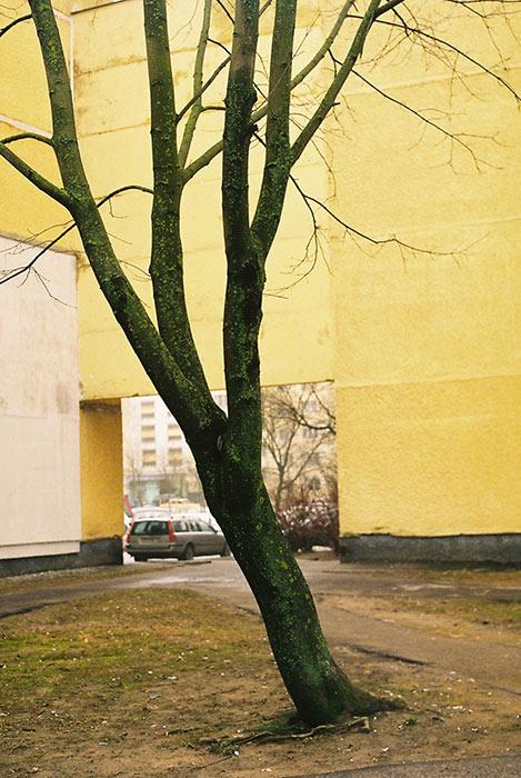 Барановичский фотограф стал победителем конкурса «Пресс-фото Беларуси-2014»