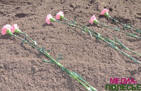 На Столинщине перезахоронены останки семи погибших воинов Красной Армии