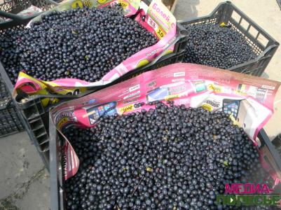 «Комаровка» сворачивается: последняя ягода по цене первой