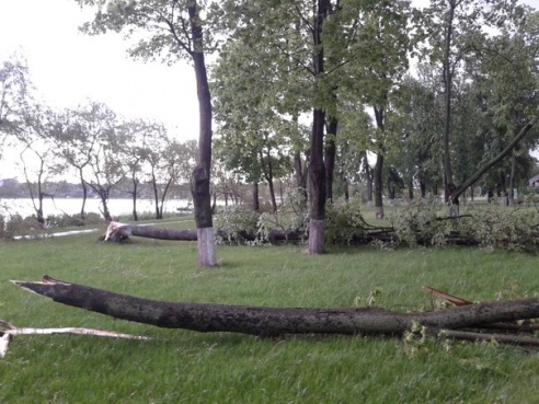Ураган у Глыбокім: фотаздымкі стыхіі