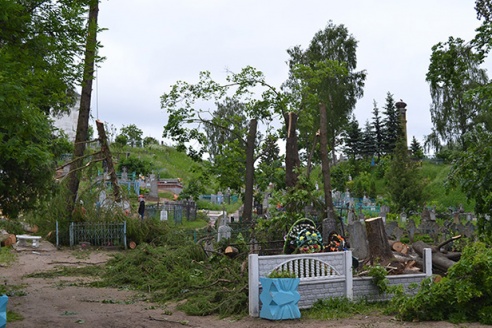 Вакол скульптуры Мюнхаўзена спілавалі дрэвы