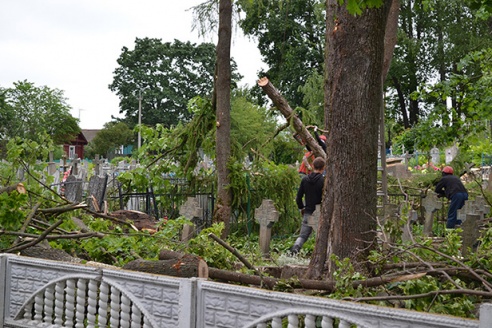 Вакол скульптуры Мюнхаўзена спілавалі дрэвы
