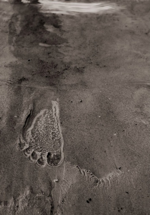 У фокусе — юнацтва. У Паставах падвялі вынікі дзіцячага фотаконкурсу