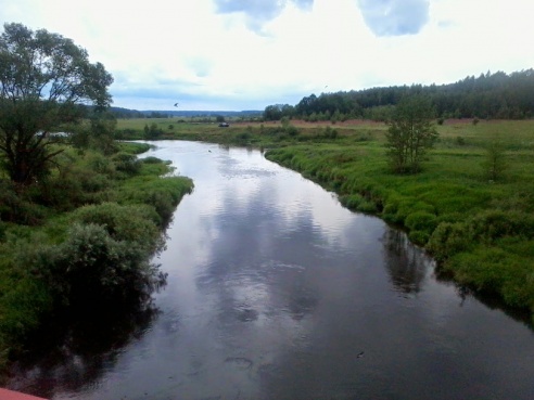 Велопробег Горки – Дрибин – Трилесино – Рясно – Дрибин – Горки