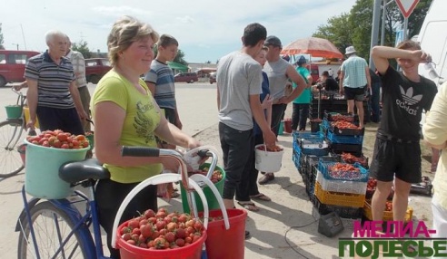 За год клубника в бочки подорожала на 200 рублей