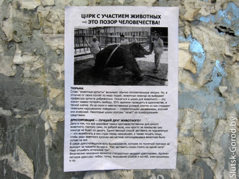 Антиафиши цирка на улицах города