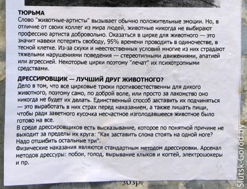 Антиафиши цирка на улицах города