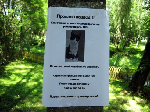 Слуцк в воскресенье, 8 июня. Фото