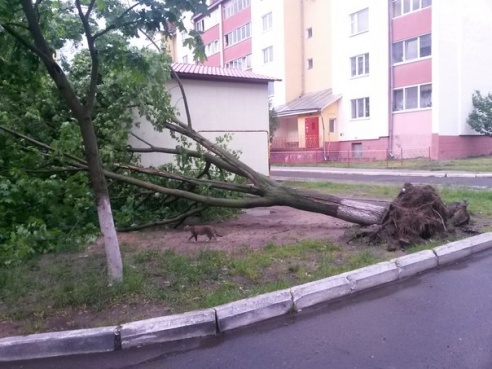 Вчерашняя непогода в соцсетях (фото, добавлено видео)