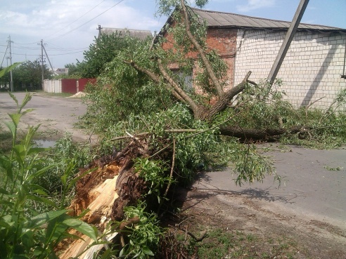 Вчерашняя непогода в соцсетях (фото, добавлено видео)