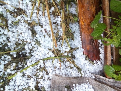 Фотофакт: под Светлогорском прошел крупный град