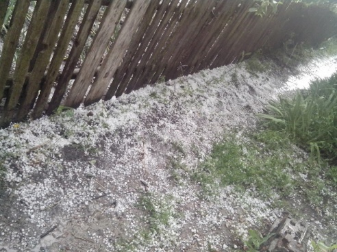 Фотофакт: под Светлогорском прошел крупный град