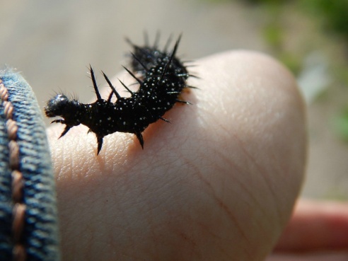 Хмурые выходные. Фото