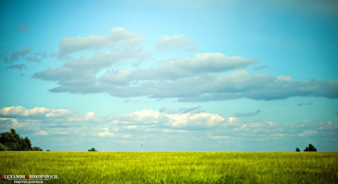 Хмурые выходные. Фото