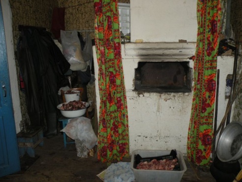 За незаконно убитого лося петриковским браконьерам придется выплатить крупную сумму (фото)