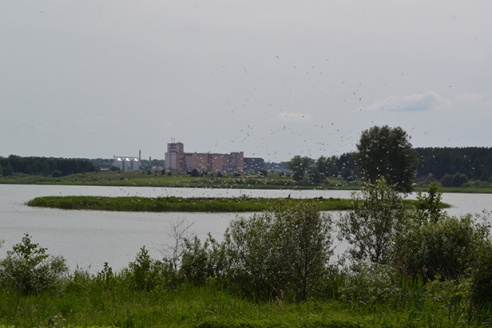Працягваюцца працы на добраўпарадкванню глыбоцкага вострава