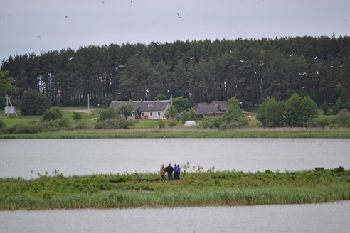 Працягваюцца працы на добраўпарадкванню глыбоцкага вострава
