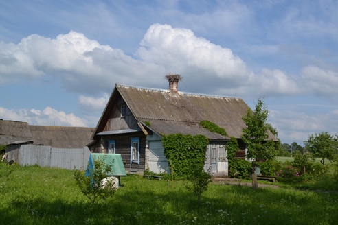У адсутнасць гаспадара дом заняў бусел (фота)