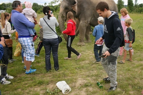 Слон чуть не съел зачётку могилёвского студента