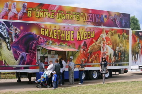 Слон чуть не съел зачётку могилёвского студента