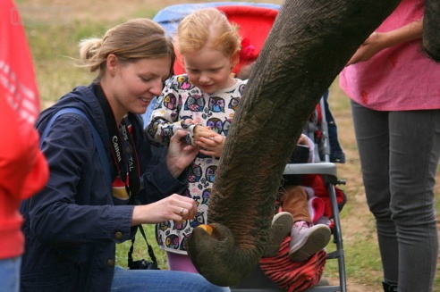 Слон чуть не съел зачётку могилёвского студента