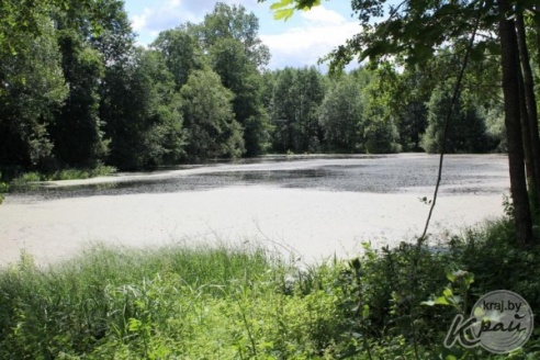 Реставрацию бровара в бывшем имении «Стайки» на Вилейщине планируют завершить в августе (ФОТО)