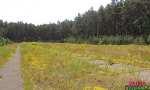 Память о жертвах Великой Отечественной войны жива