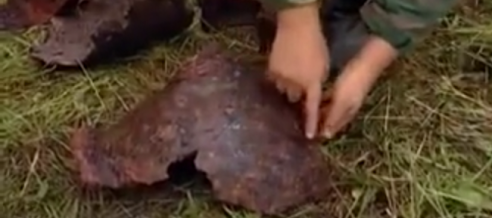 Топ-5 значных археалагічных знаходак на Магілёўшчыне за апошнія гады