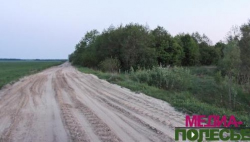 Останки найденных на Столинщине солдат Красной Армии перезахоронят с воинскими почестями