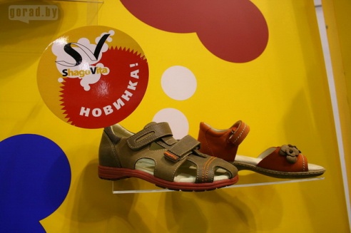 Могилёвские проекты заинтересовали иностранных инвесторов