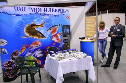 Могилёвские проекты заинтересовали иностранных инвесторов