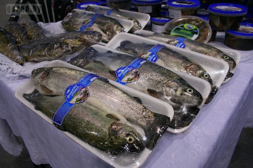 Могилёвские проекты заинтересовали иностранных инвесторов