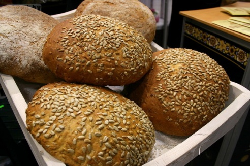 Могилёвские проекты заинтересовали иностранных инвесторов