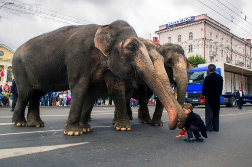 В Могилёве в День города прошло театрализованное шествие